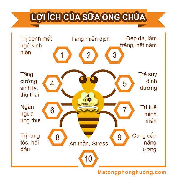 Sữa Ong Chúa Tươi Nguyên Chất 100g 5