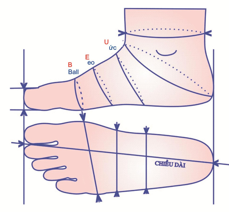 f7FL7e_simg_d0daf0_800x1200_max.jpg