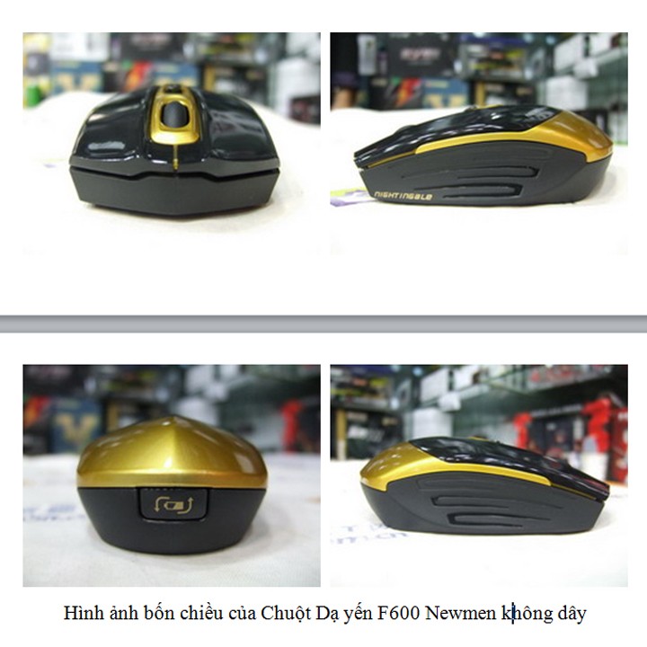 Chuột máy tính Newmen F600
