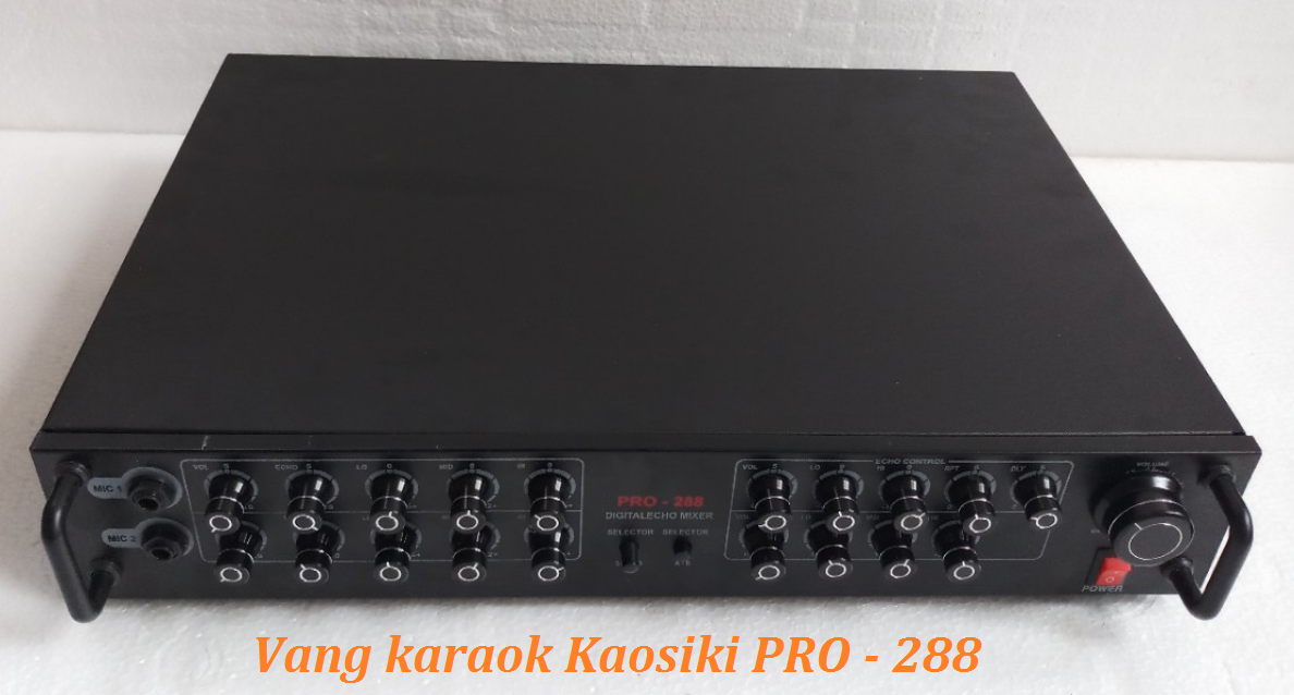 Vang Karaok Kaosiki PRO 288