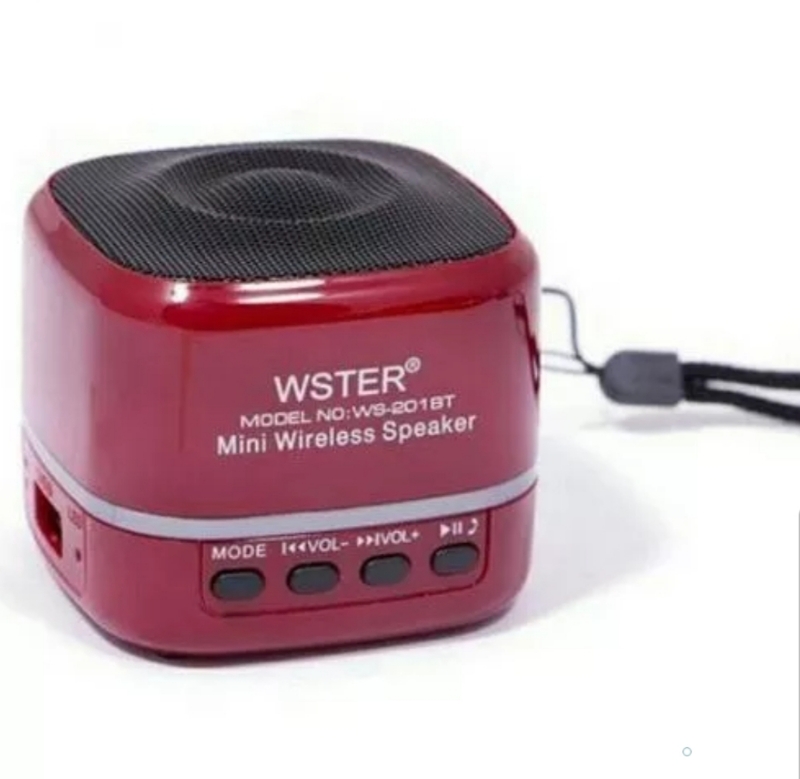 Loa bluetooth đa năng Wster WS-201BT