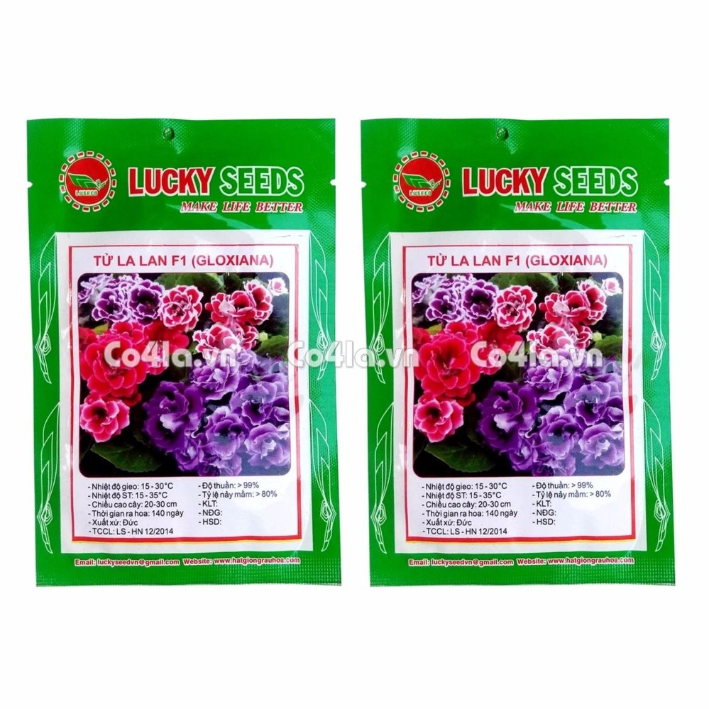 Bộ gói hạt giống Tử la lan