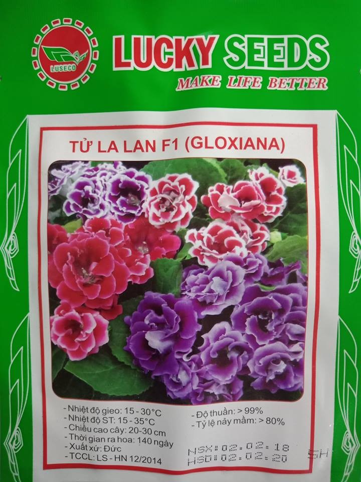 Bộ gói hạt giống Tử la lan