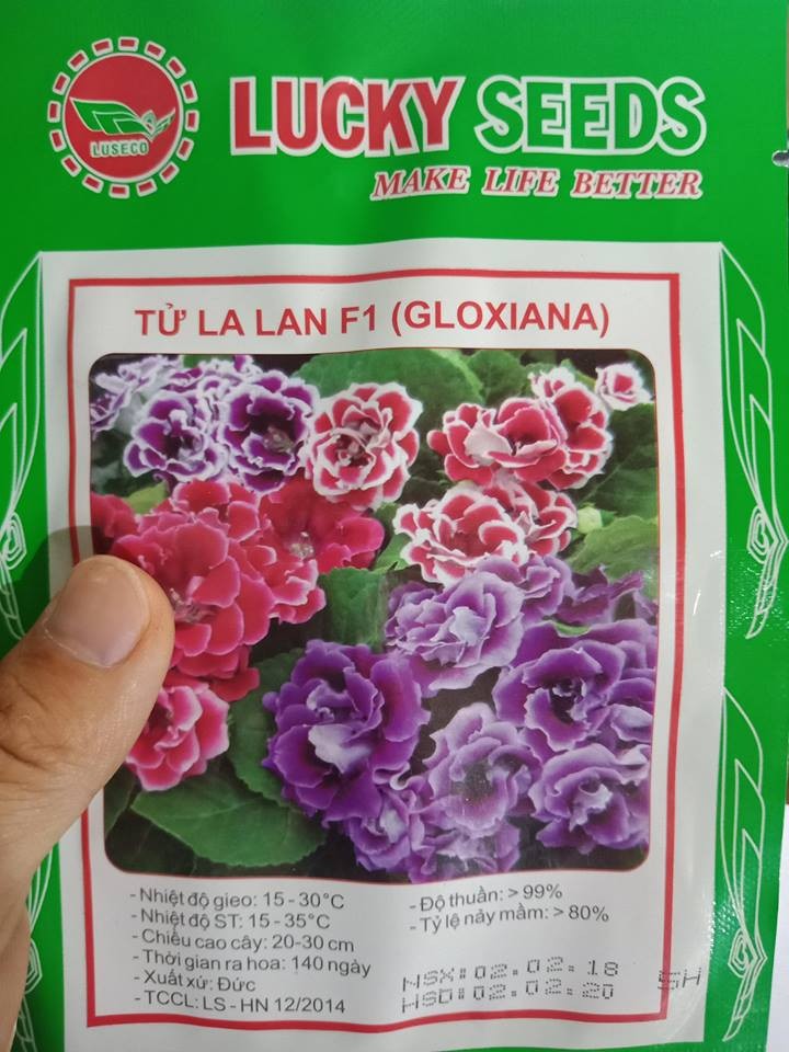 Bộ gói hạt giống Tử la lan