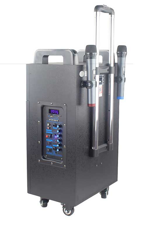 Loa kéo di động Temeisheng QX-1012