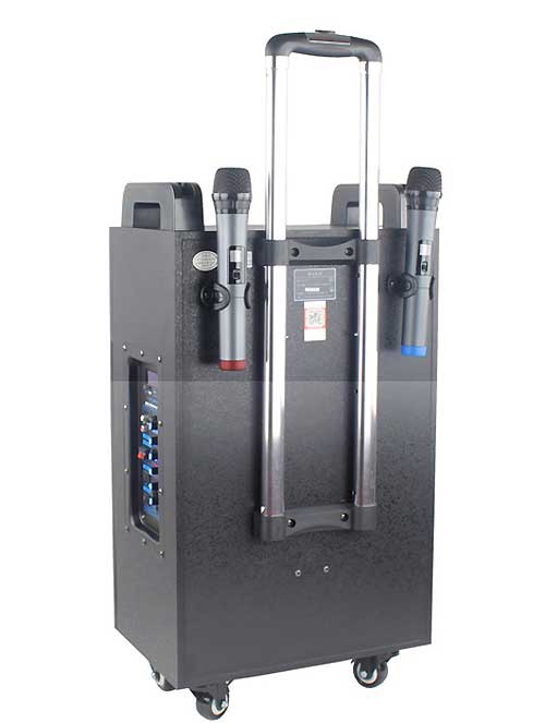 Loa kéo di động Temeisheng QX-1012