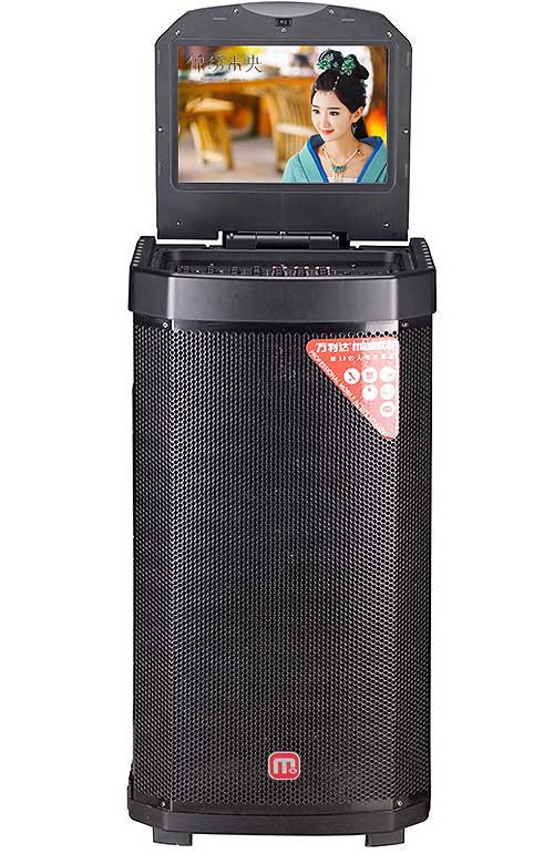 Loa kéo di động Malata 9502Y