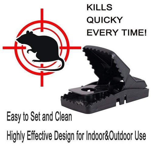 Bẫy chuột hiệu quả