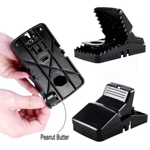 Bẫy chuột hiệu quả