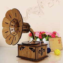 Đồ chơi lắp ráp gỗ 3D Máy Hát R-9093