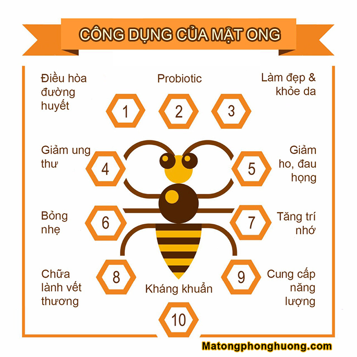 350ML MẬT ONG HOA BẠC HÀ + 350G MẦM ĐẬU NÀNH 1