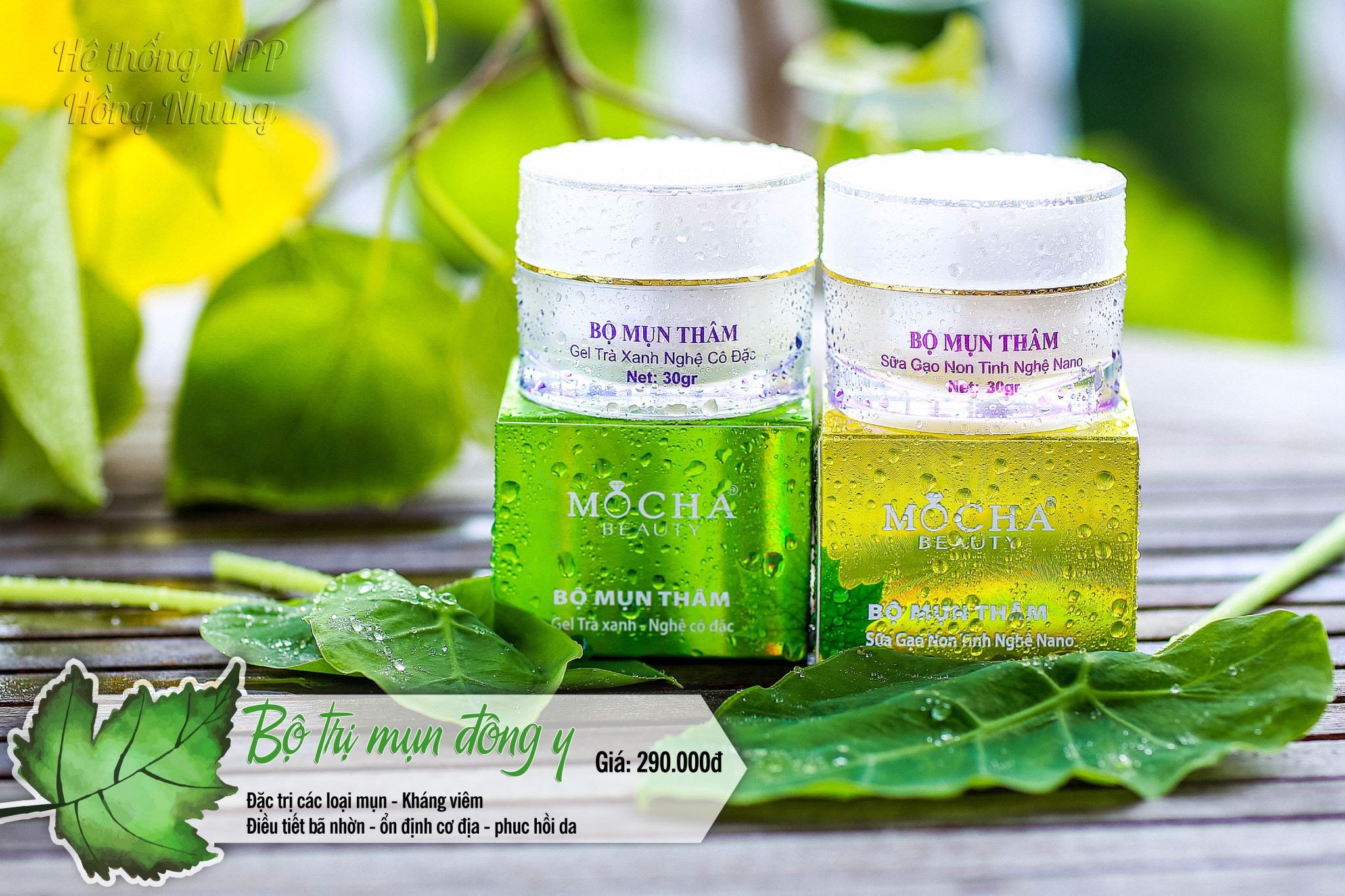 Kem trị mụn Đông Y Mocha