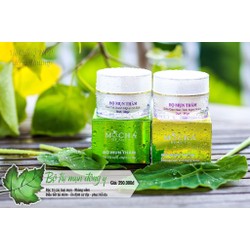 Kem trị mụn Đông Y Mocha