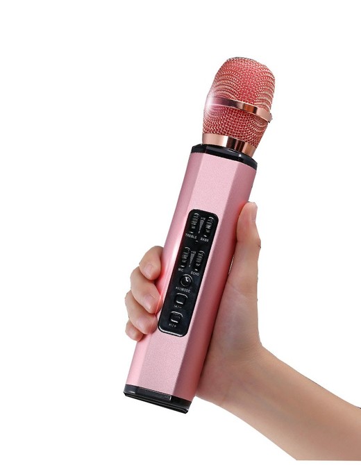 Micro kèm loa Bluetooth Karaoke nhập khẩu PKCB K6 cắm thẻ nhớ PF14 10