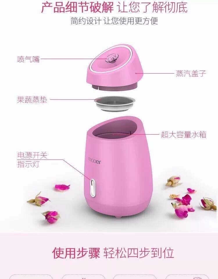 Máy Xông Hơi Da Mặt Hoa Quả Tươi Maoer 4