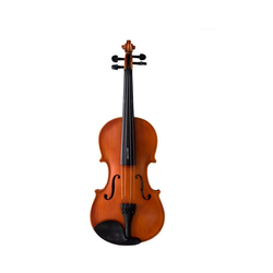 Đàn violin v35