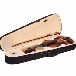 Violin - vĩ cầm