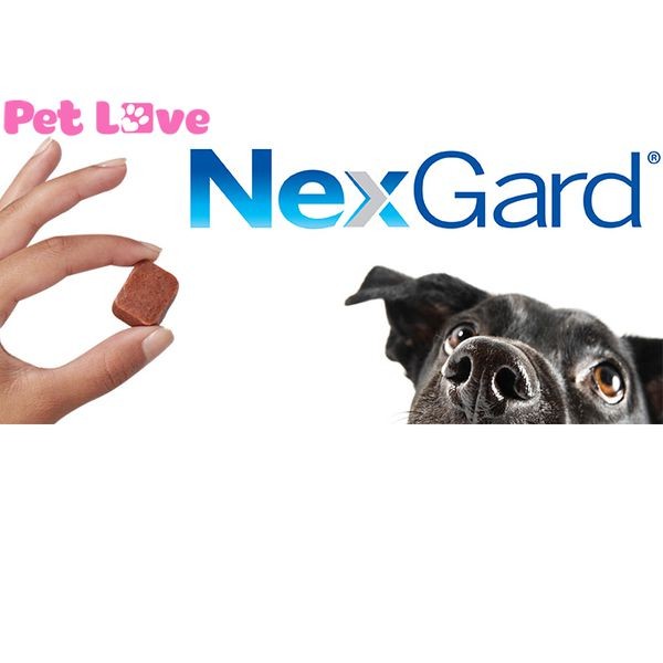 Hộp thuốc NexGard trị ve 25-50kg