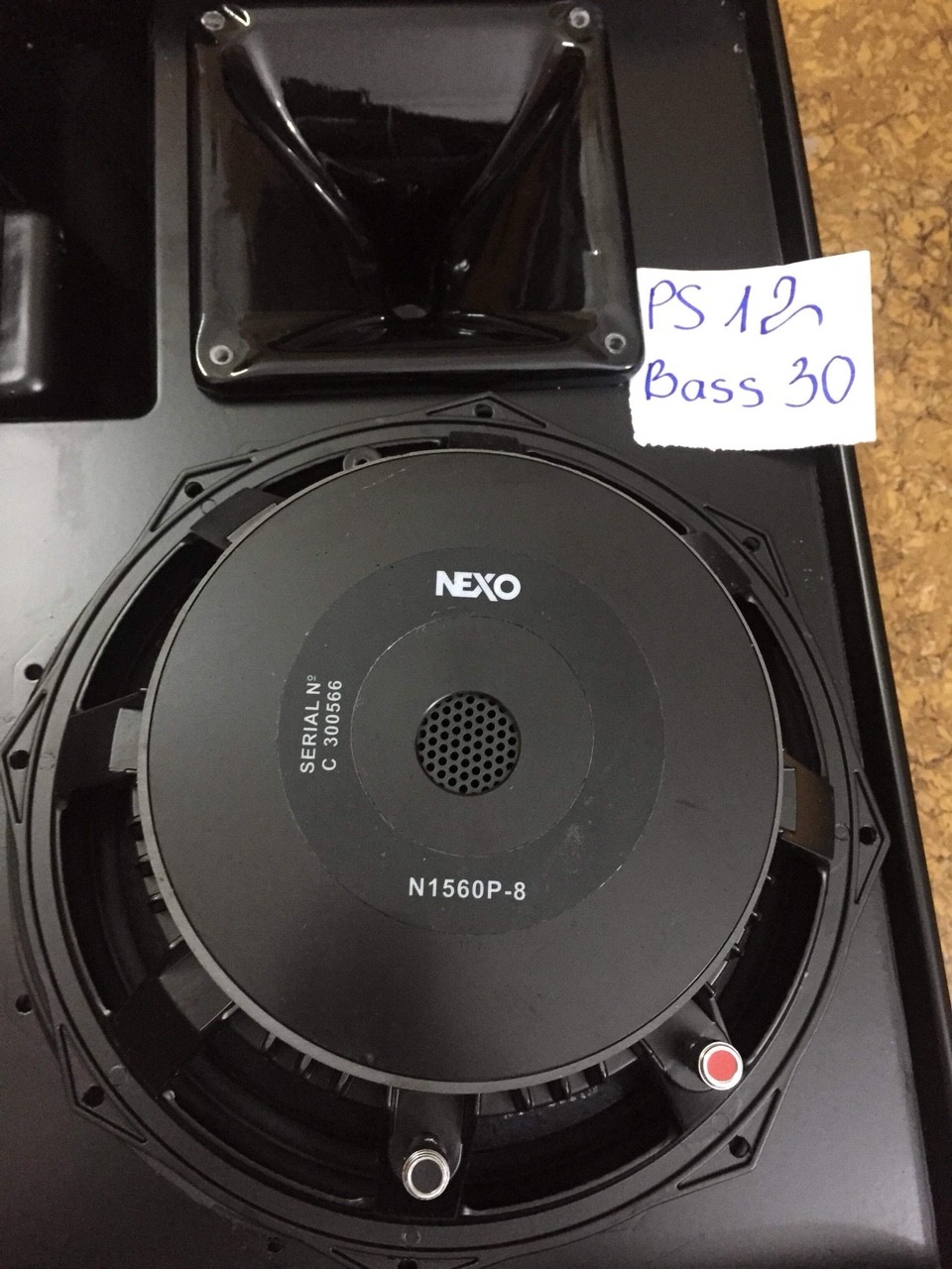 Loa Nexo PS12