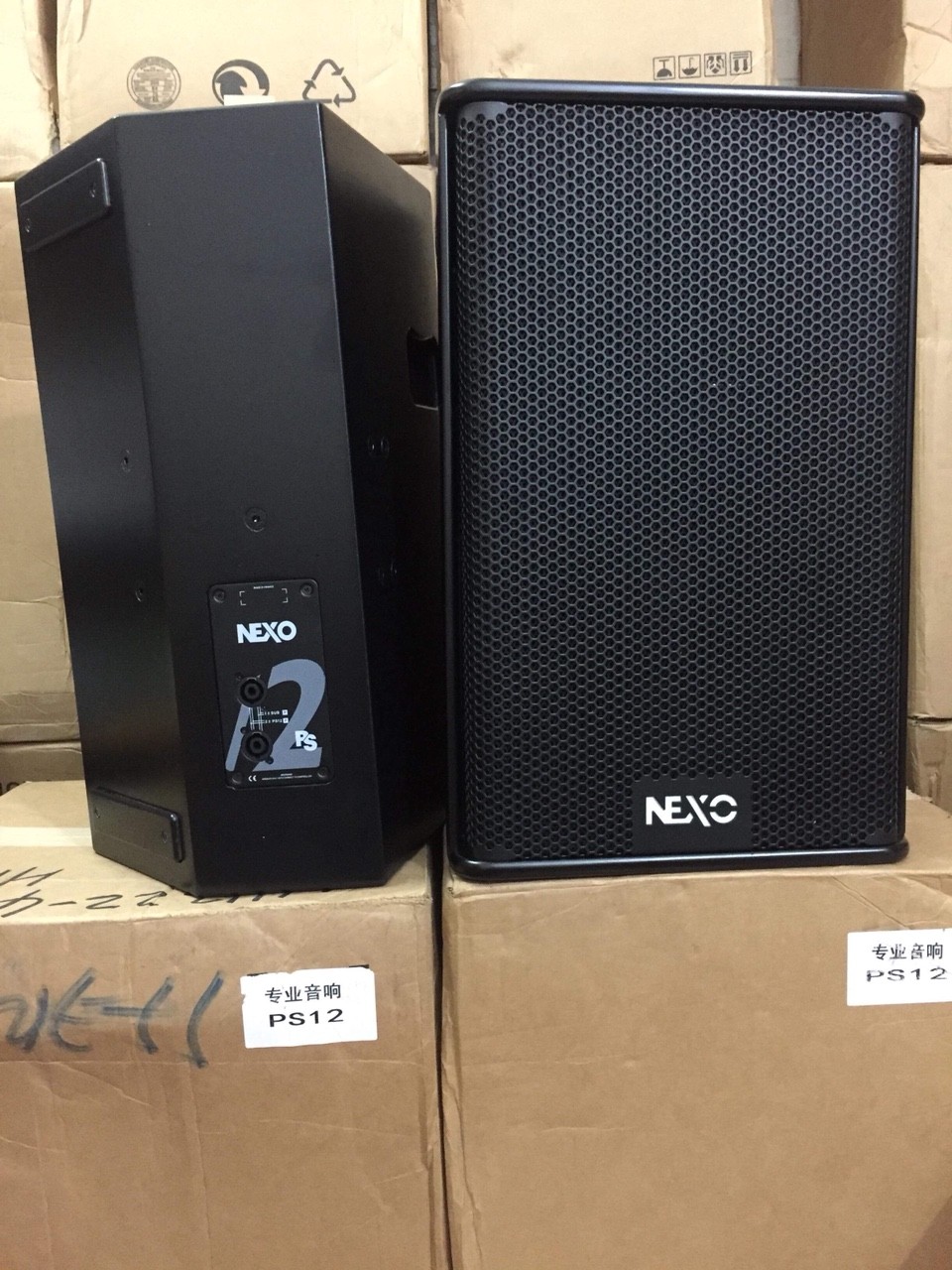 Loa Nexo PS12