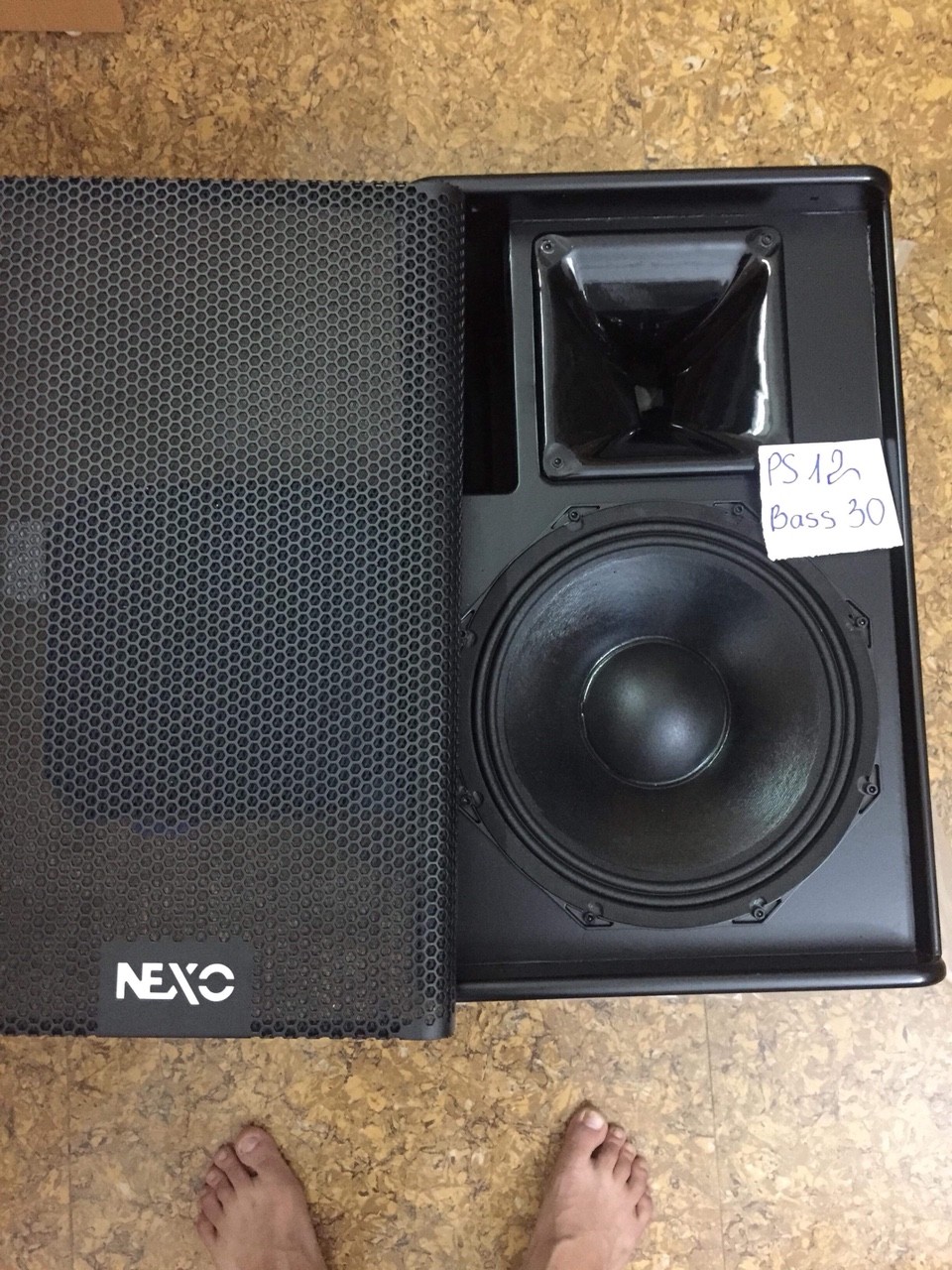 Loa Nexo PS12