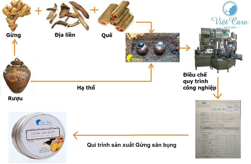 Gừng săn bụng Vietcare HN
