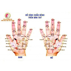 Diện chẩn con bọ lớn [ĐƯỢC KIỂM HÀNG] 17285241