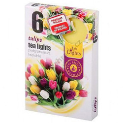 Hộp 6 nến thơm Tea lights Admit Tulips ADM7746 Hương hoa tulip