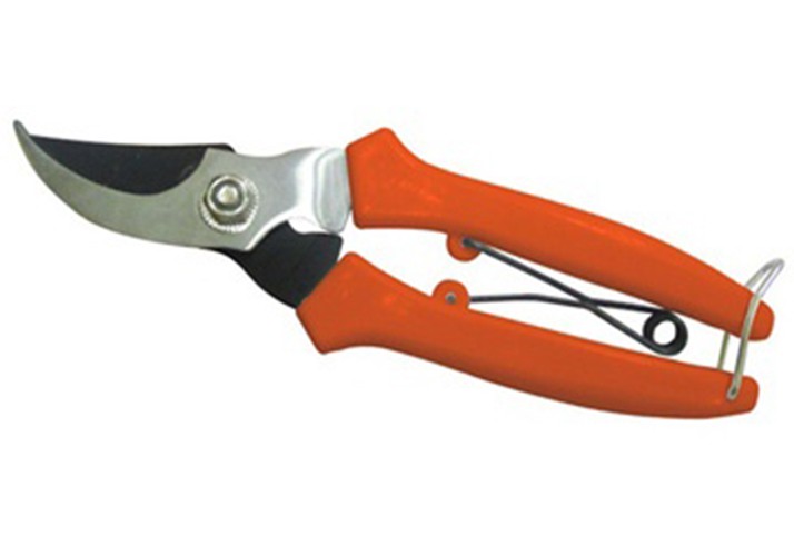 6.5 inch KÉO CẮT CÀNH ASAKI AK-8640