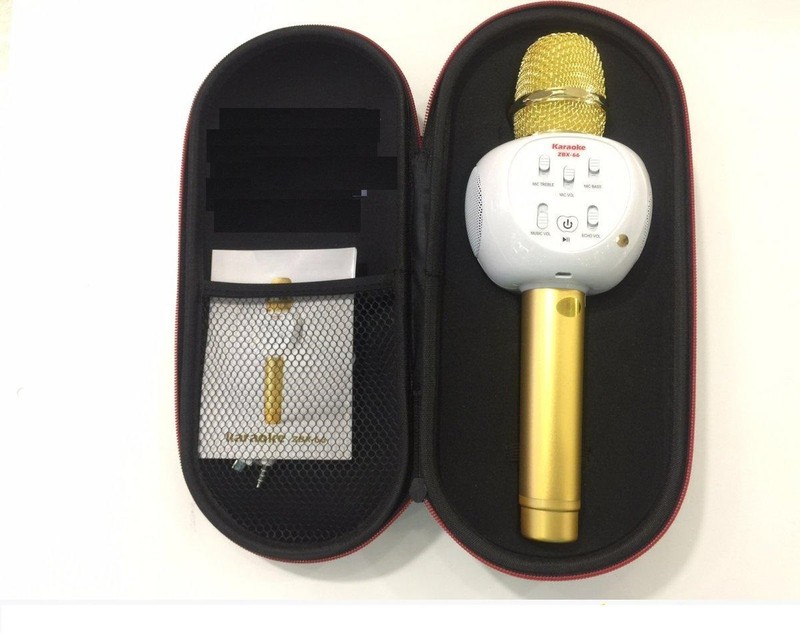 MIC KARAOKE ZBX-66