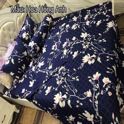 Anh Set Quần Áo Siêu Đẹp, Giá Tốt, Với Nhiều Ưu Đãi| Sendo.vn