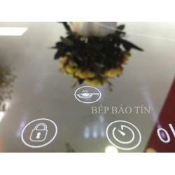 Bếp từ Napoliz Vision  ITC399