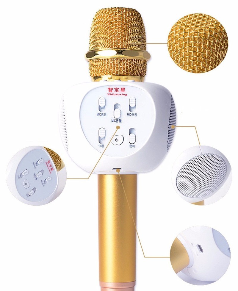 MIC KARAOKE ZBX-66