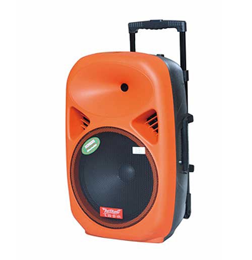 Loa kéo di động Feiyang F28