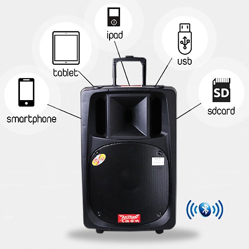 Loa kéo di động Feiyang F698