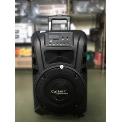 Loa kéo caliana tn10 2,5 tấc âm thanh lớn 2 micro nhạy