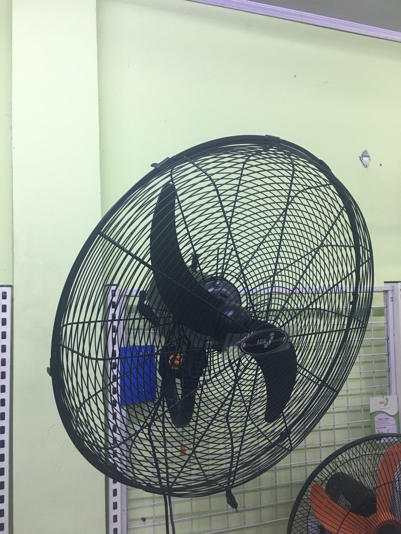 krzqdd_simg_d0daf0_800x1200_max.jpg