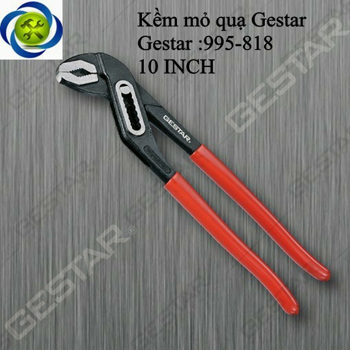 Kềm mỏ quạ Gestar 995-818 10 inch 1