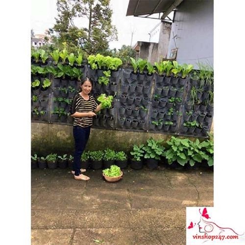 6637400 , 13308514 , 15_13308514 , 150000 , Tui-trong-cay-treo-tuong-15_13308514 , sendo.vn , Túi trồng cây treo tường Túi trồng cây treo tường