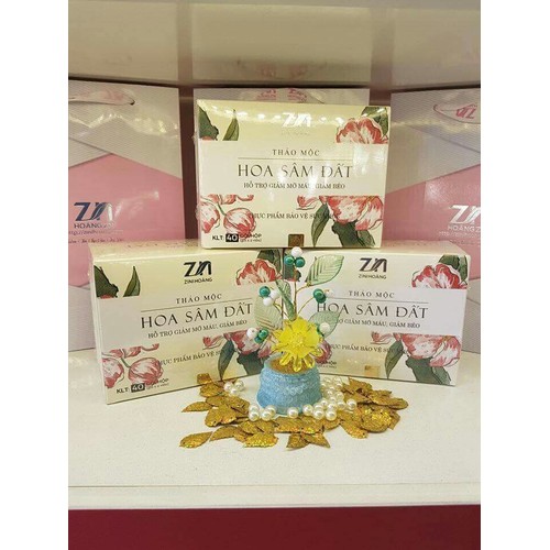 Trà Hoa Sâm Đất Zn cải tiến giảm cân an toàn