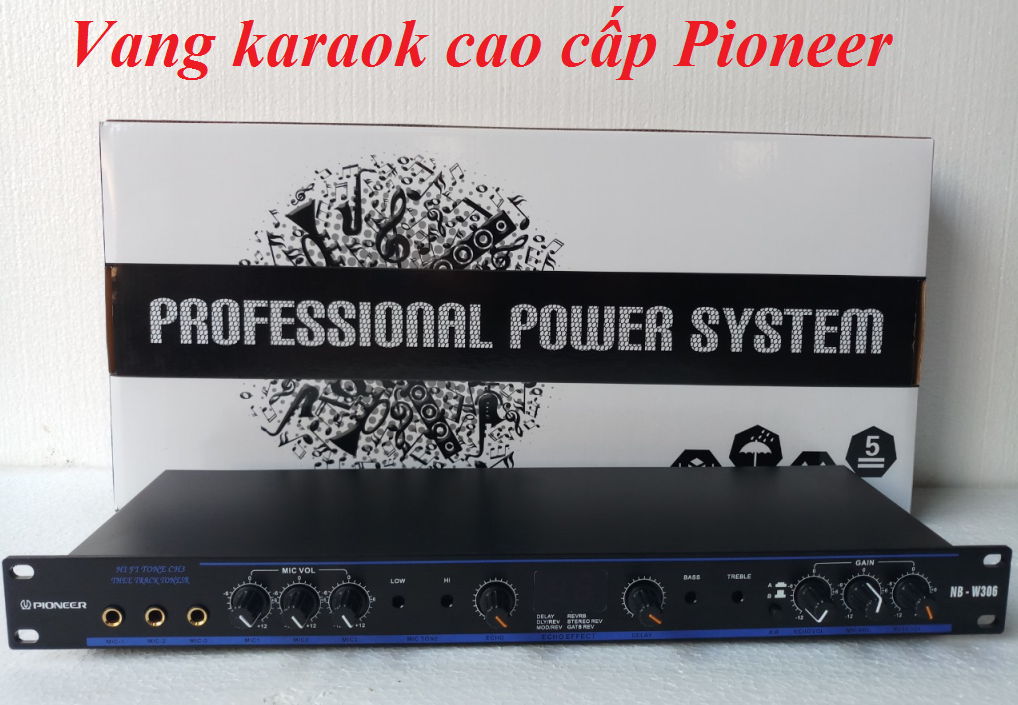 Vang Mixer Karaok Pioneer