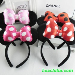 CÀI MICKEY NƠ DÀY - HOA CHÍ TÍN