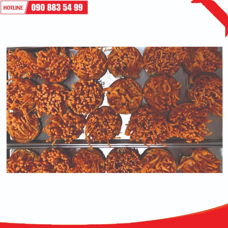 Máy sấy Ánh Dương AD2