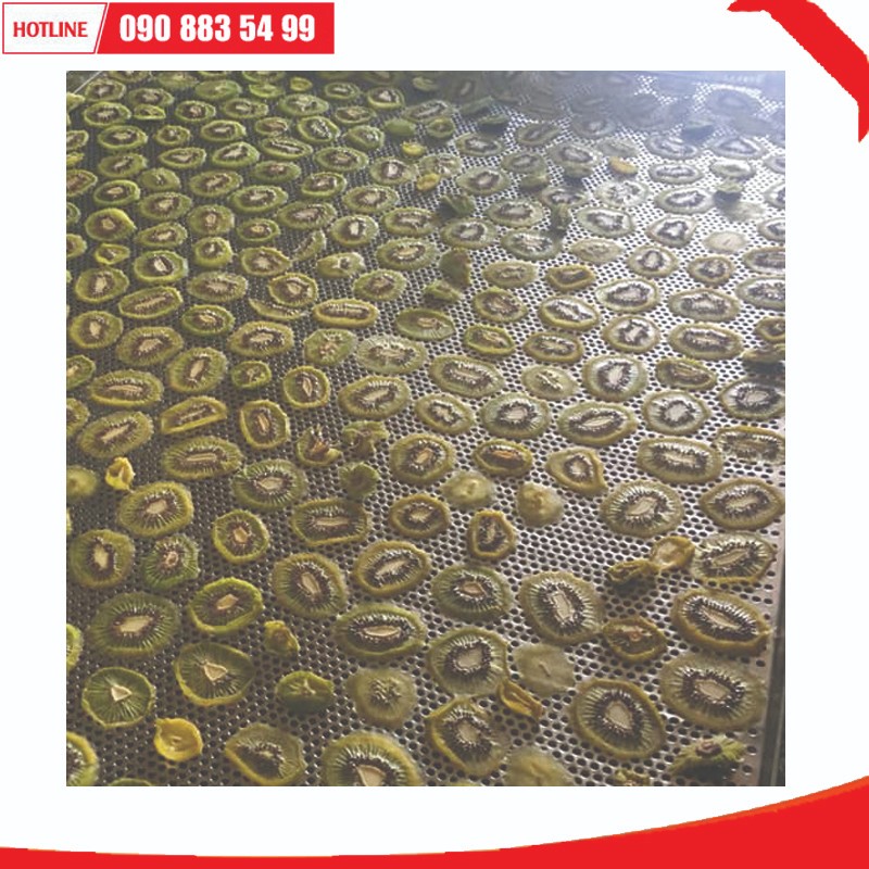 Máy sấy Ánh Dương AD Mini 4