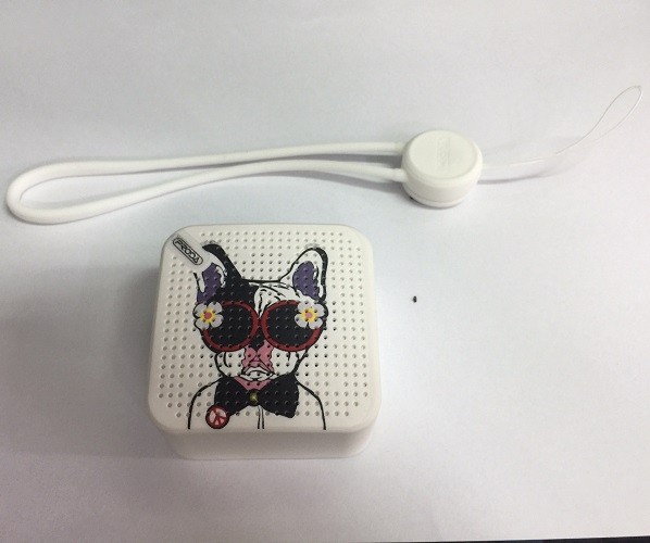 Loa bluetooth mini PRODA PD-S100