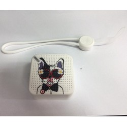 Loa bluetooth mini proda pd-s100