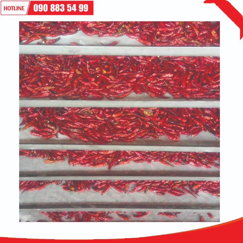 Máy sấy Ánh Dương AD Mini 4