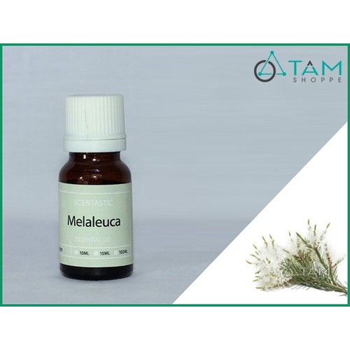 6805177 , 13512887 , 15_13512887 , 280000 , Tinh-dau-tram-gio-nguyen-chat-Melaleuca-SCENTASTIC-50ml-15_13512887 , sendo.vn , Tinh dầu tràm gió nguyên chất Melaleuca SCENTASTIC 50ml Tinh dầu tràm gió nguyên chất Melaleuca SCENTASTIC 50ml