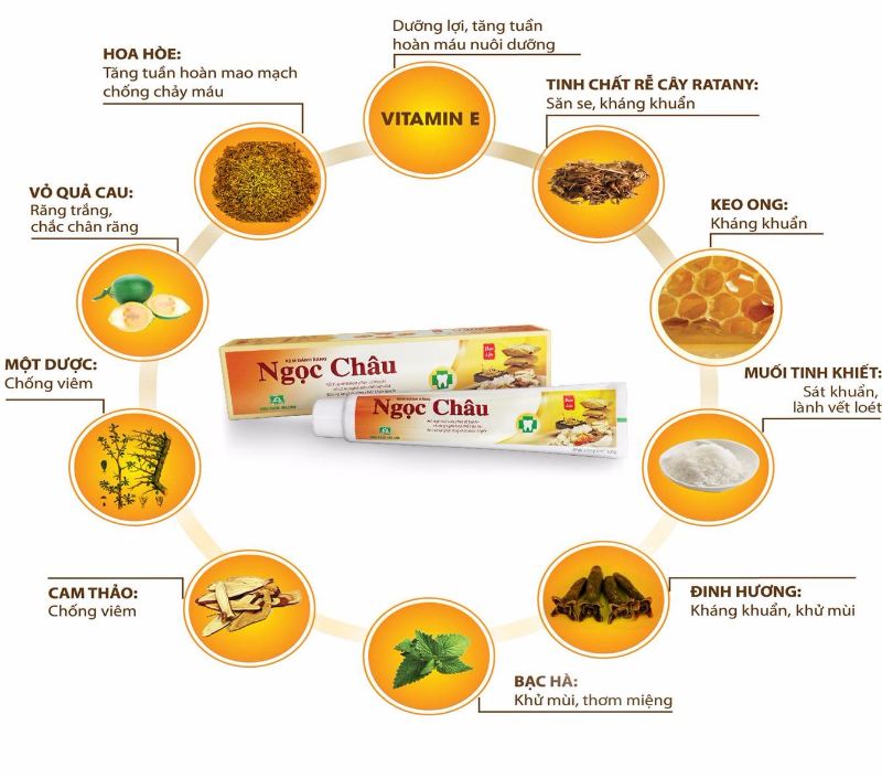 Combo 2 chai Kem đánh răng dược liệu Ngọc Châu 100g (Mã SP: B18902)