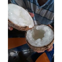DỪA SÁP ĐẶC RUỘT LOẠI 1 800g 900g